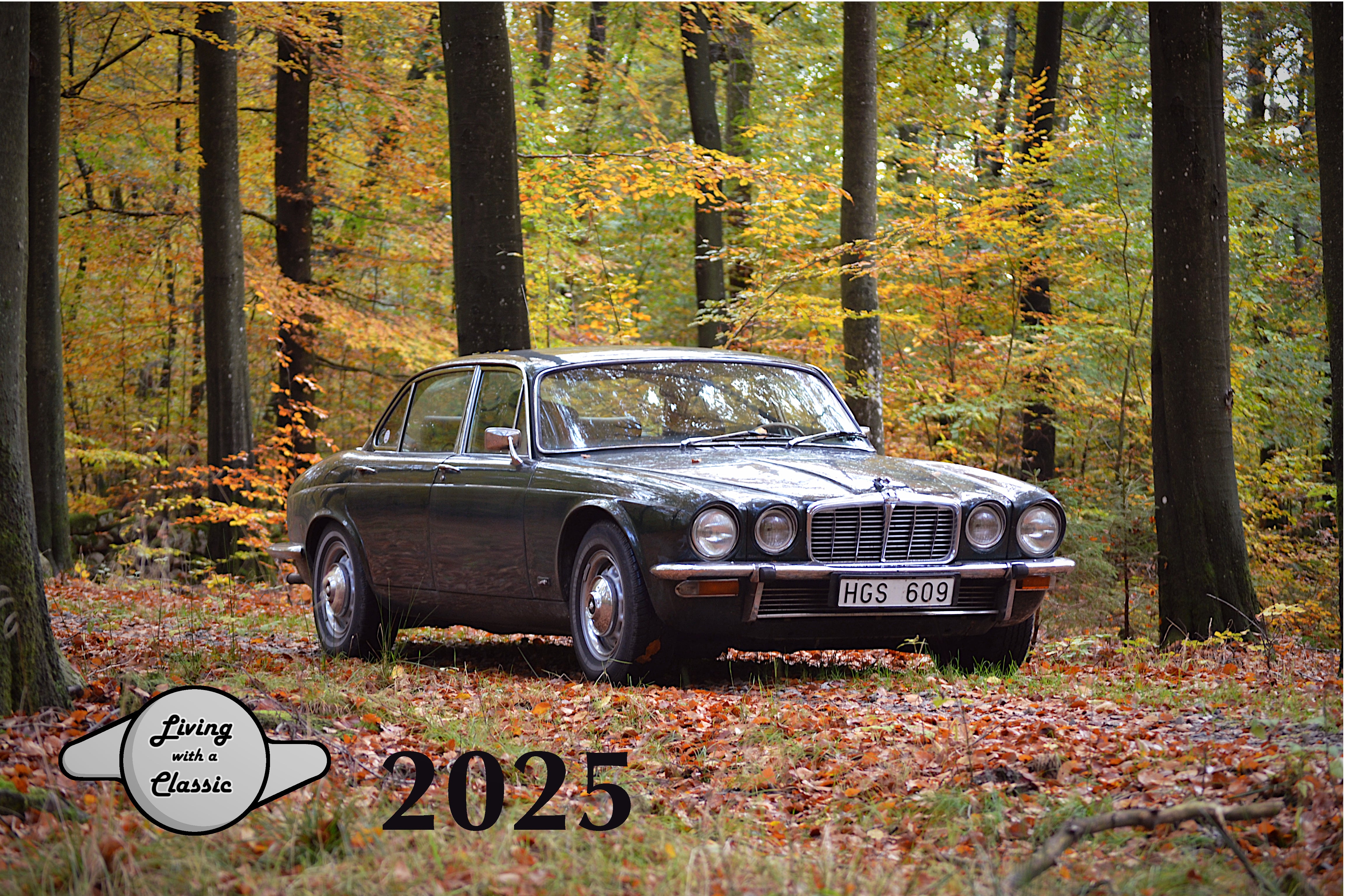 LWAC Wall Calendar 2025